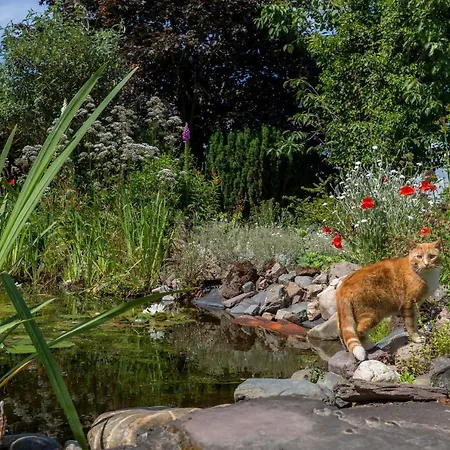 De Nieuwe Warande 튈뷔르흐