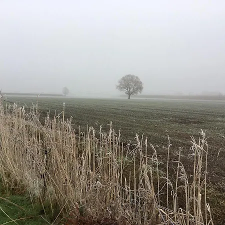 De Nieuwe Warande B&B