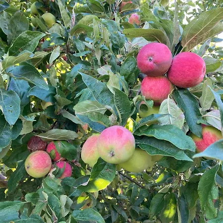 De Nieuwe Warande Tilburg
