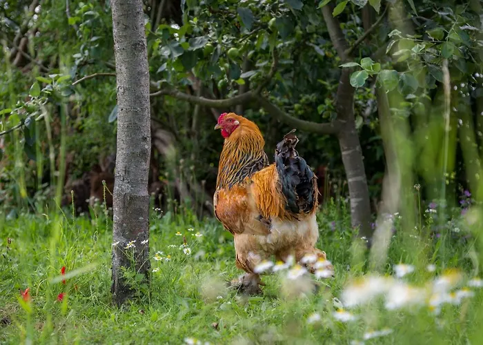 Bed and Breakfast De Nieuwe Warande 3*