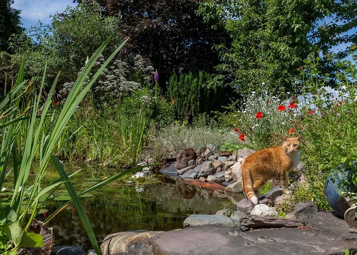 De Nieuwe Warande Tilburg
