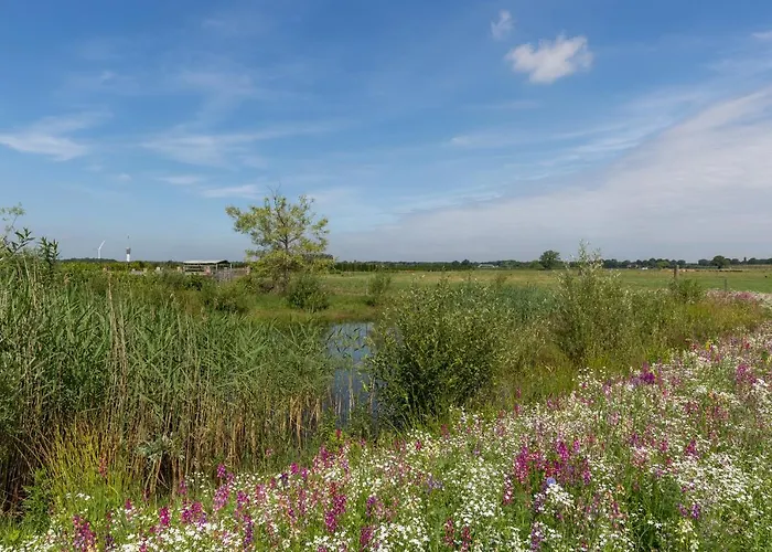 De Nieuwe Warande 3*