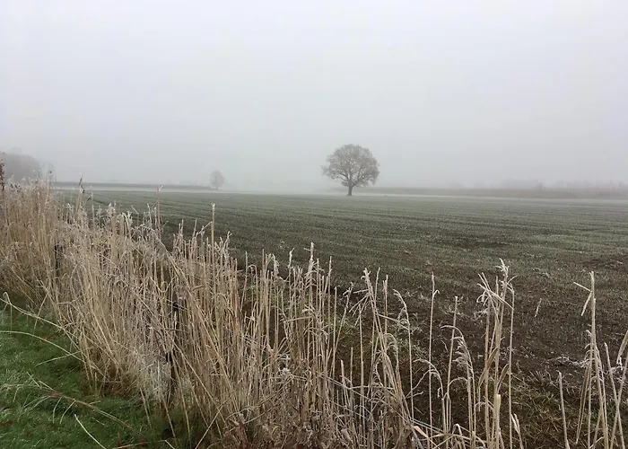 De Nieuwe Warande Bed and Breakfast