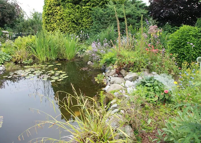 Bed and Breakfast De Nieuwe Warande 3*