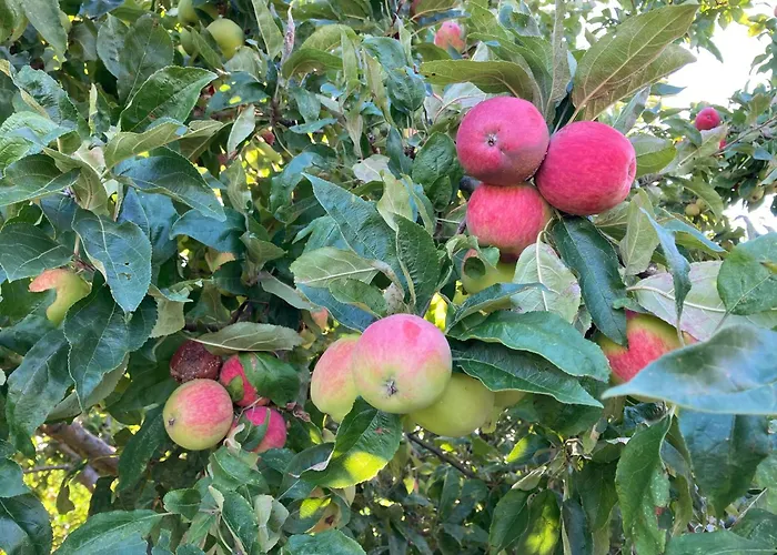 De Nieuwe Warande Tilburg