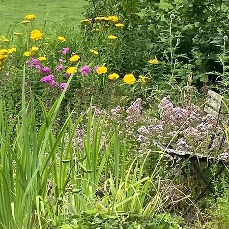 De Nieuwe Warande Panzió