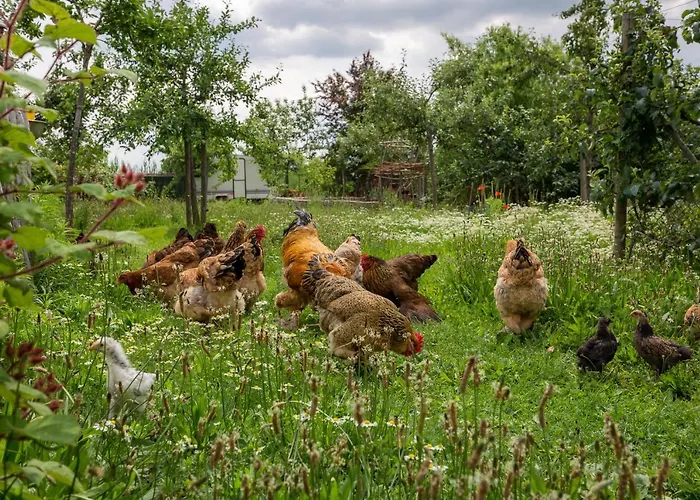 De Nieuwe Warande Panzió Tilburg