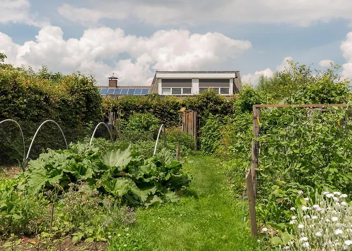 De Nieuwe Warande 3*