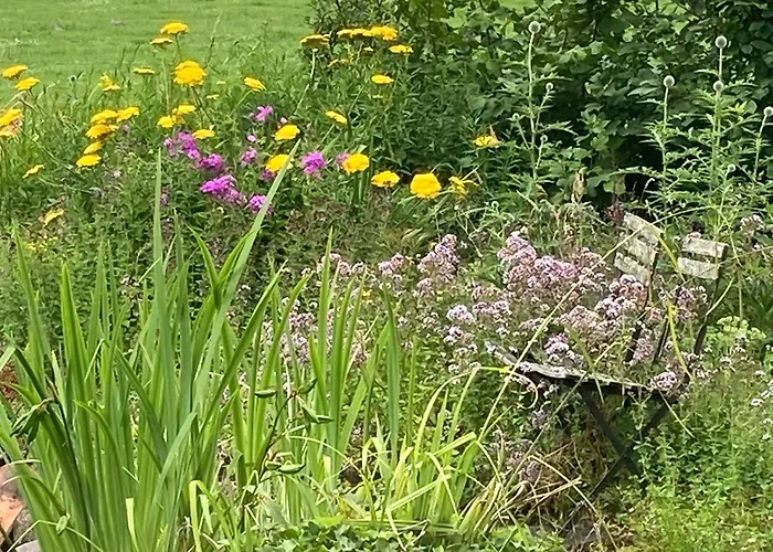 De Nieuwe Warande Panzió